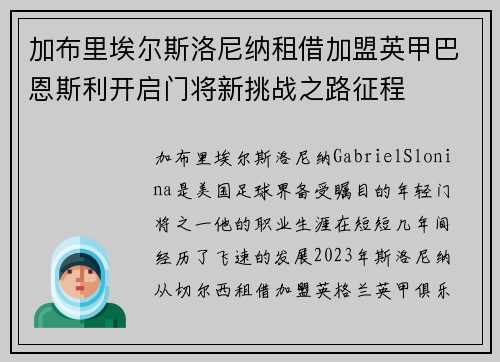 加布里埃尔斯洛尼纳租借加盟英甲巴恩斯利开启门将新挑战之路征程